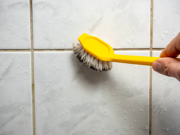 Best Professional Mold Removal  in Oxford, NC