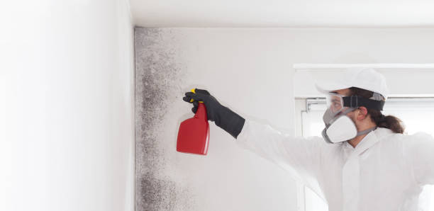 Best Mold Testing  in Oxford, NC