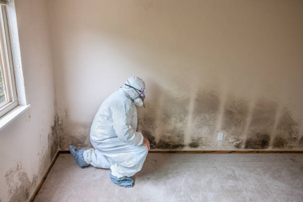 Best Emergency Mold Removal  in Oxford, NC